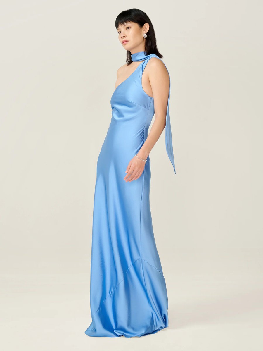 OMNES Brioni Dress in Vista Blue - 2
