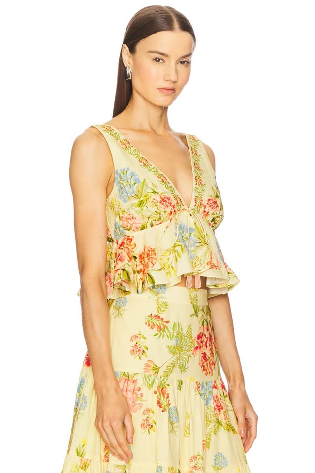 revolve Peplum Top - 2