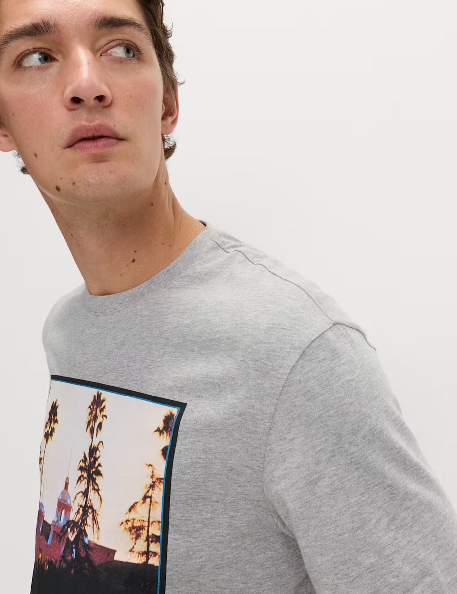 Marks & Spencer M&S Pure Cotton Eagles T-Shirt Grey Marl - 2