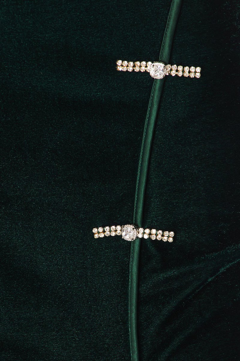 revolve Ariana Velvet Gown - 4