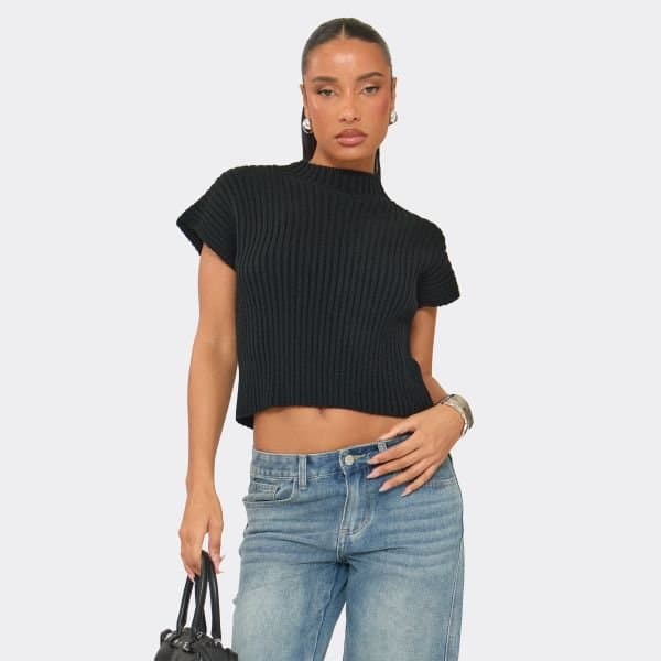 EGO EGO Chic High Neck Short Sleeve Top in Black Rib Knit