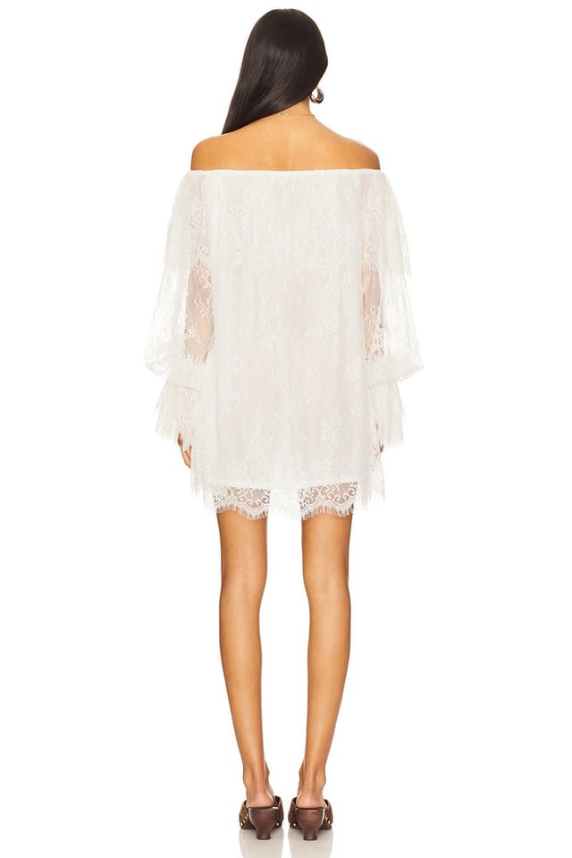 revolve Winona Mini Dress - 3