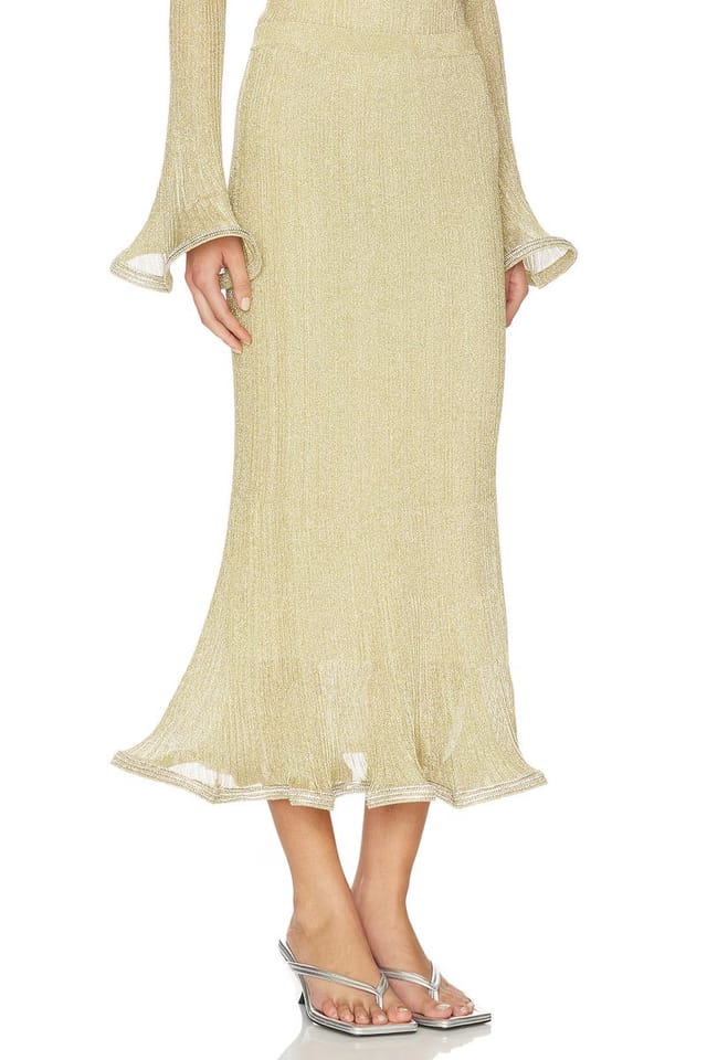 revolve Brighton Midi Skirt - 2