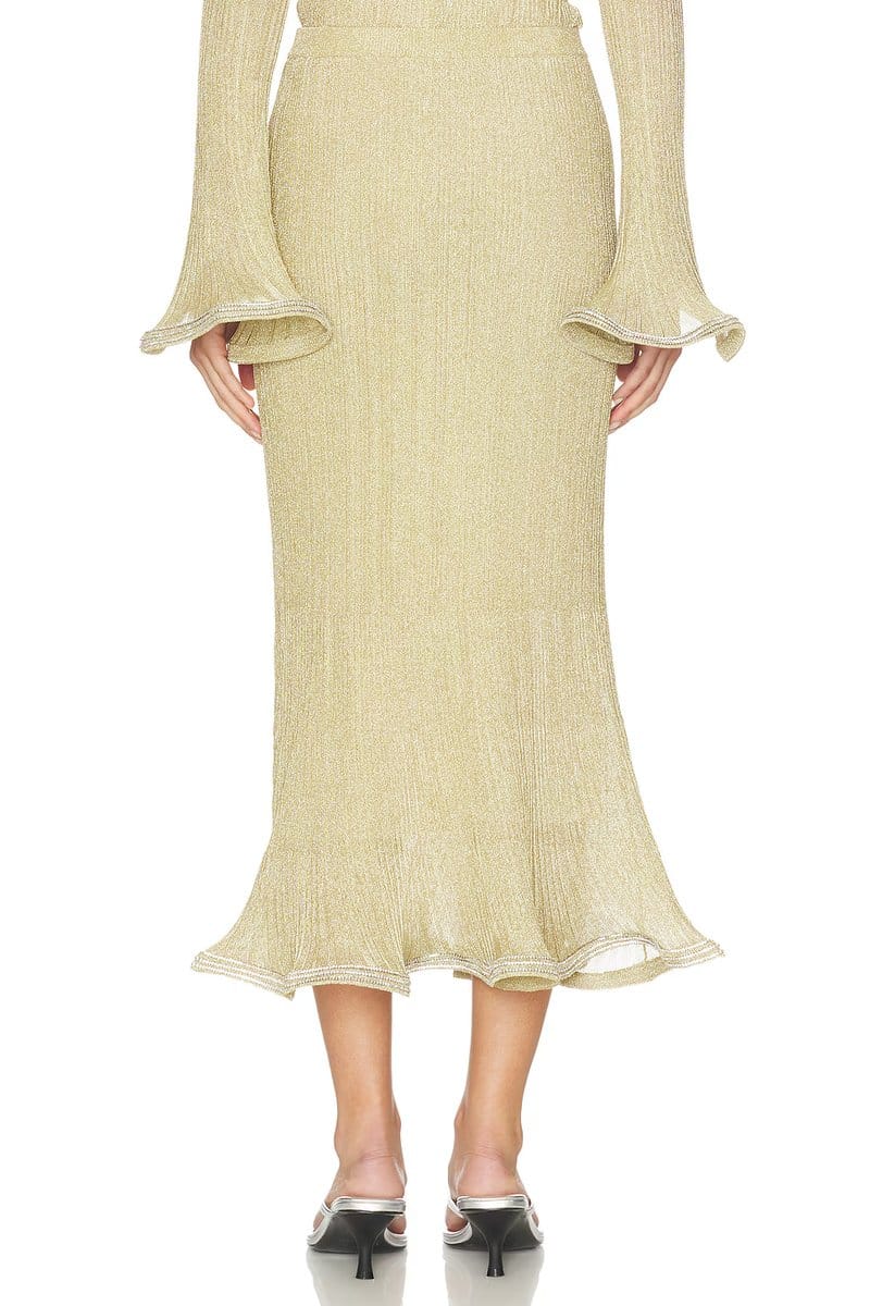 revolve Brighton Midi Skirt - 4