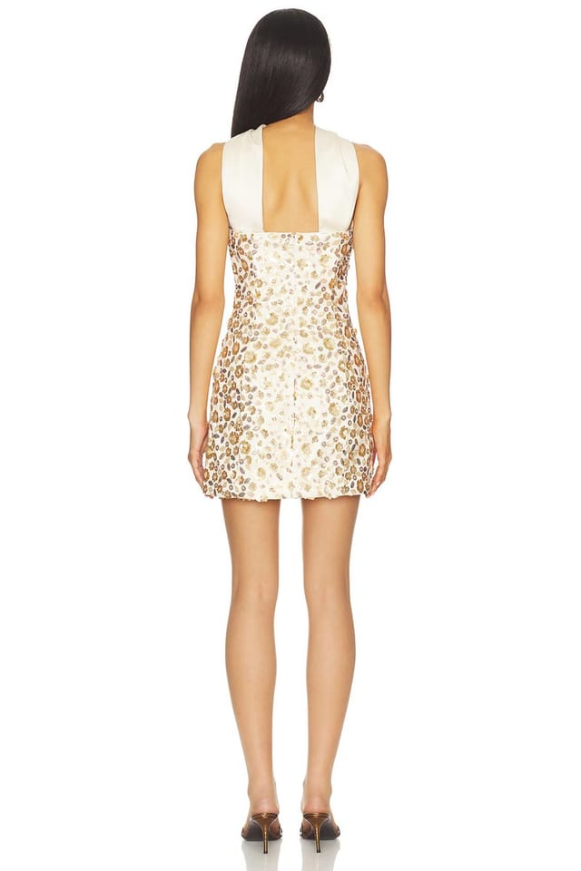 revolve Cheyenne Mini Dress - 3