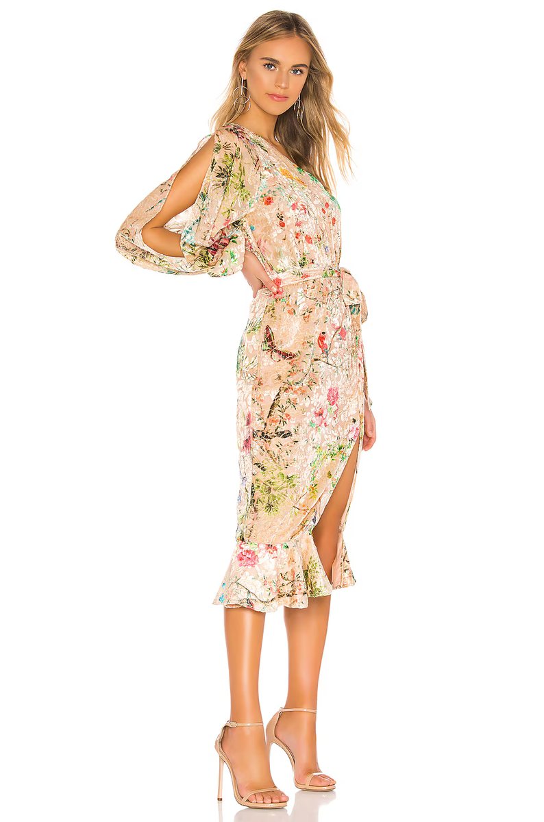 revolve Veena Dress - 2