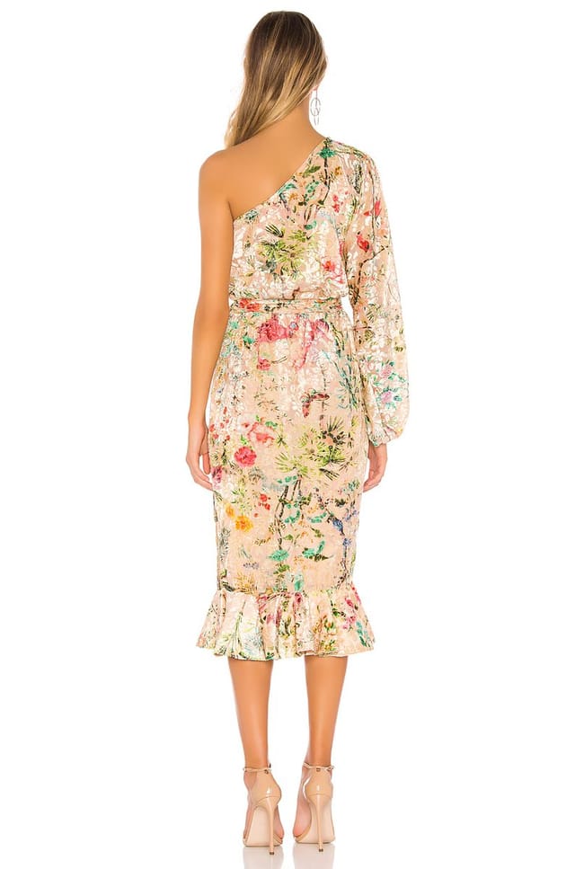 revolve Veena Dress - 3