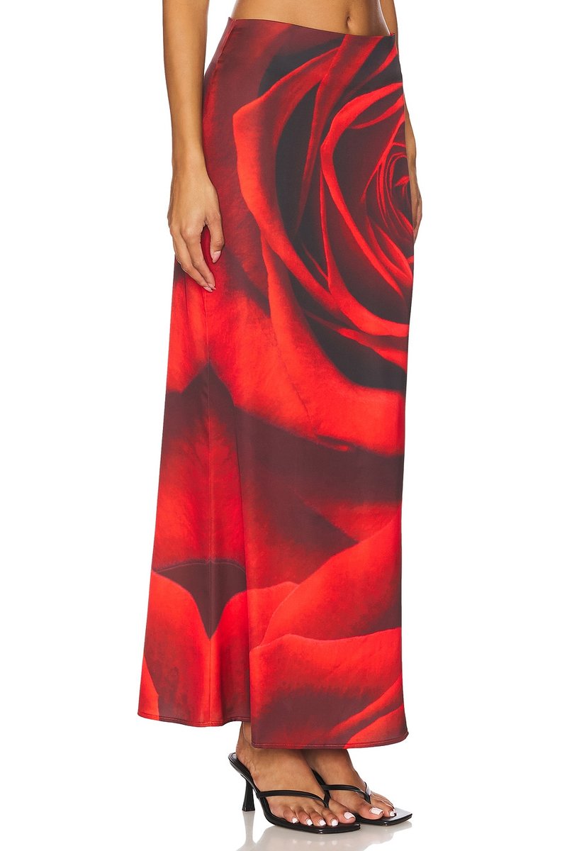 revolve Charlie Skirt - 2