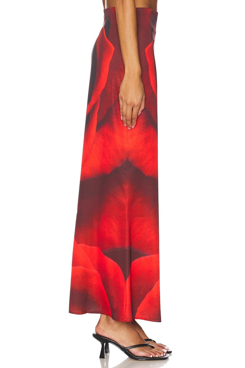 revolve Charlie Skirt - 3