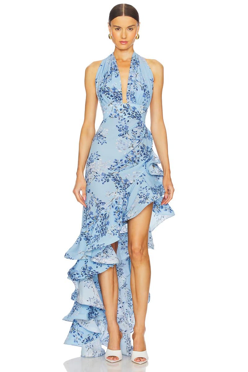 revolve Bronte Poppy Maxi Dress