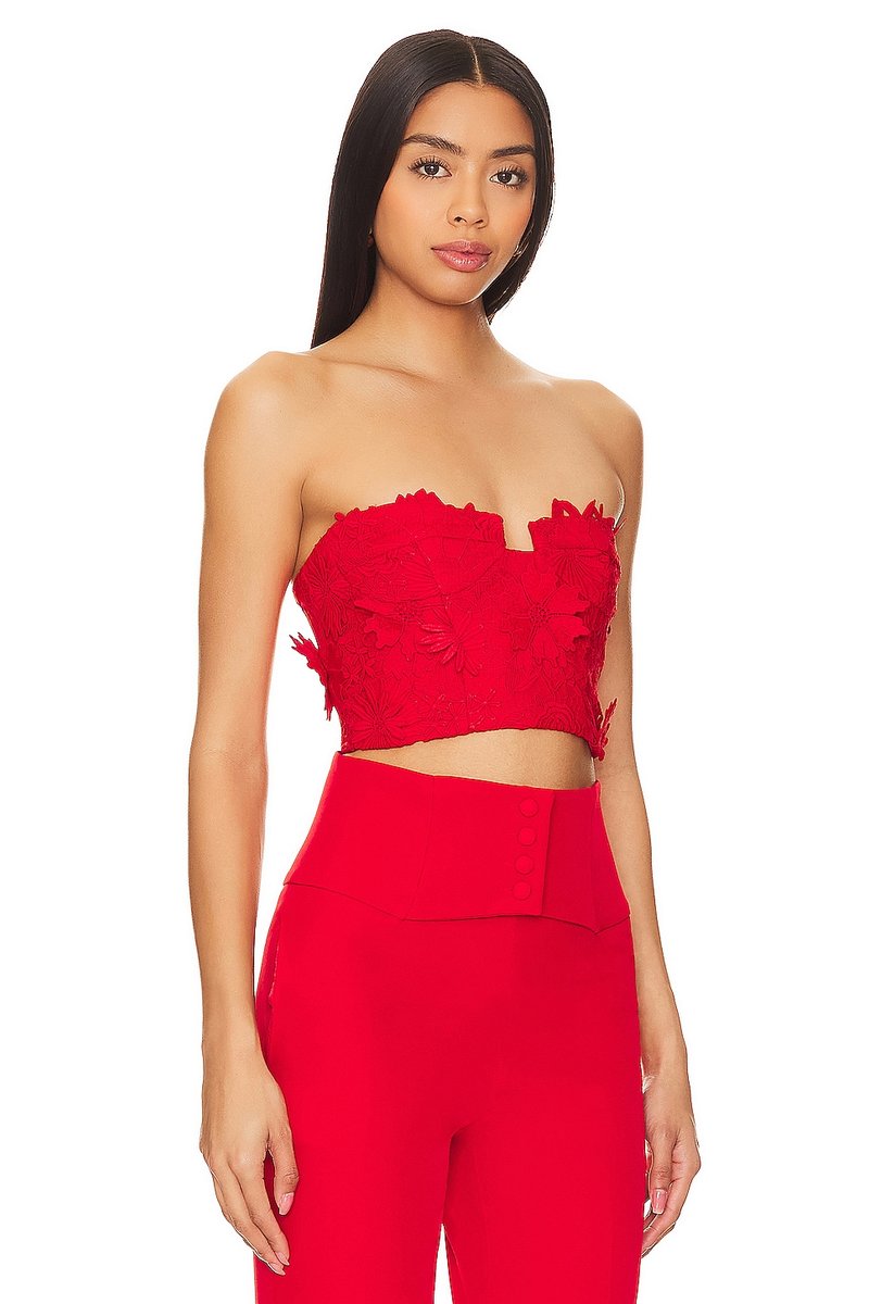 revolve Brias Bustier - 2