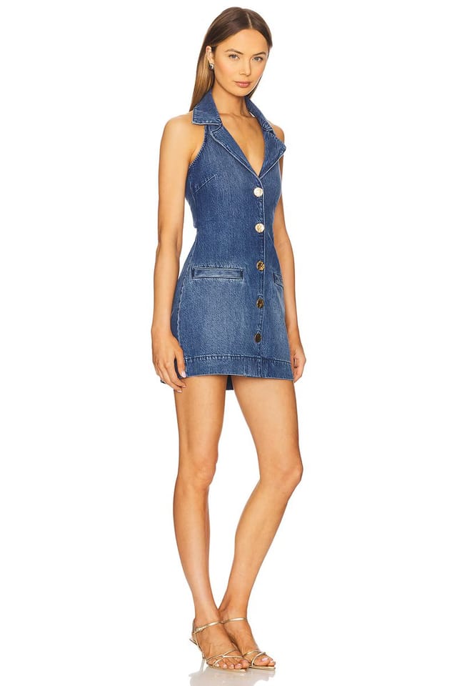 revolve Darien Dress - 2