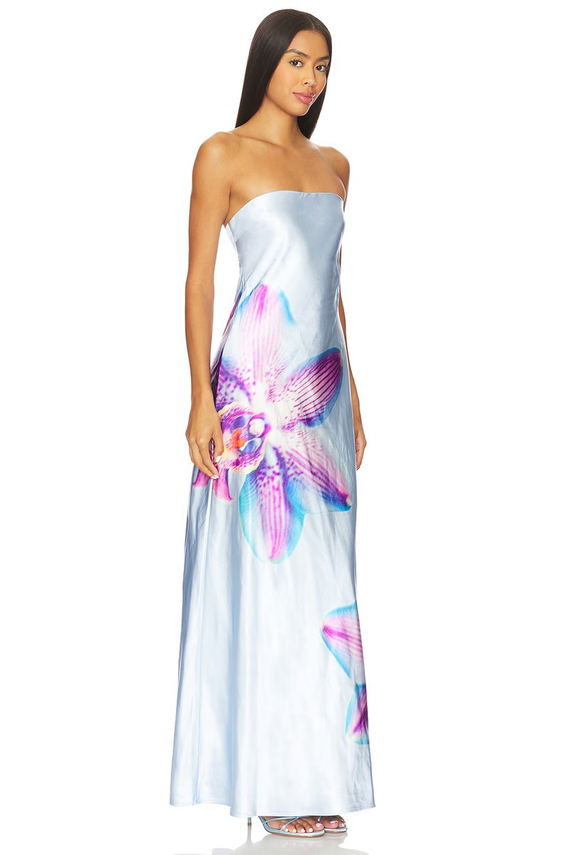 revolve Celeste Maxi Dress - 3