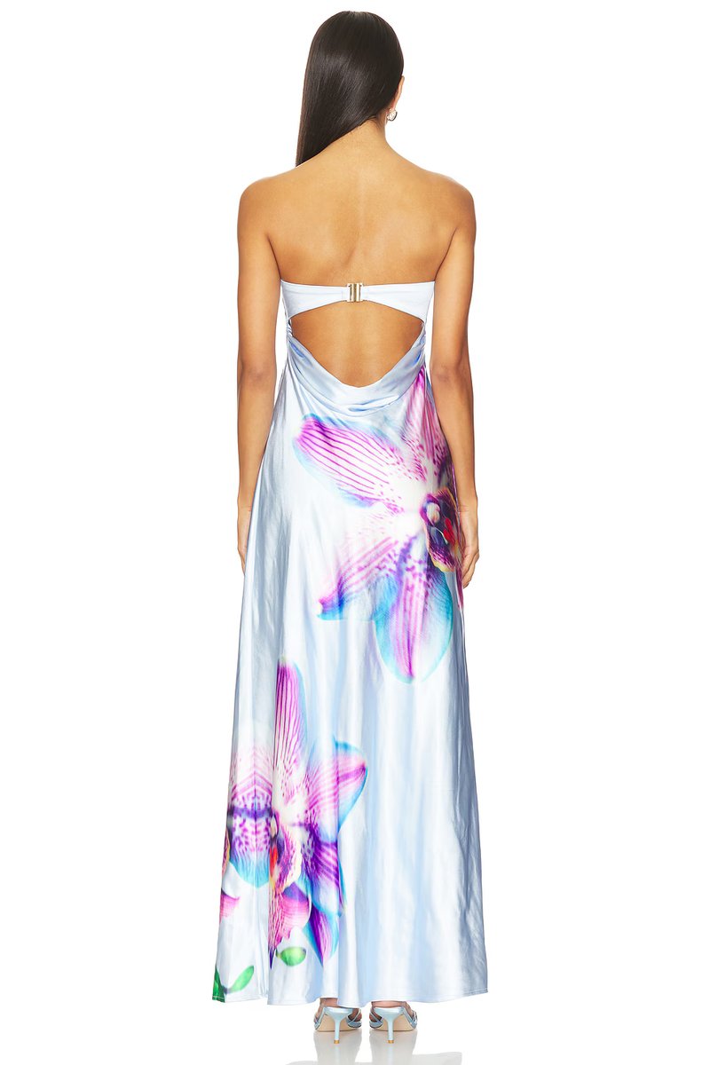 revolve Celeste Maxi Dress - 4