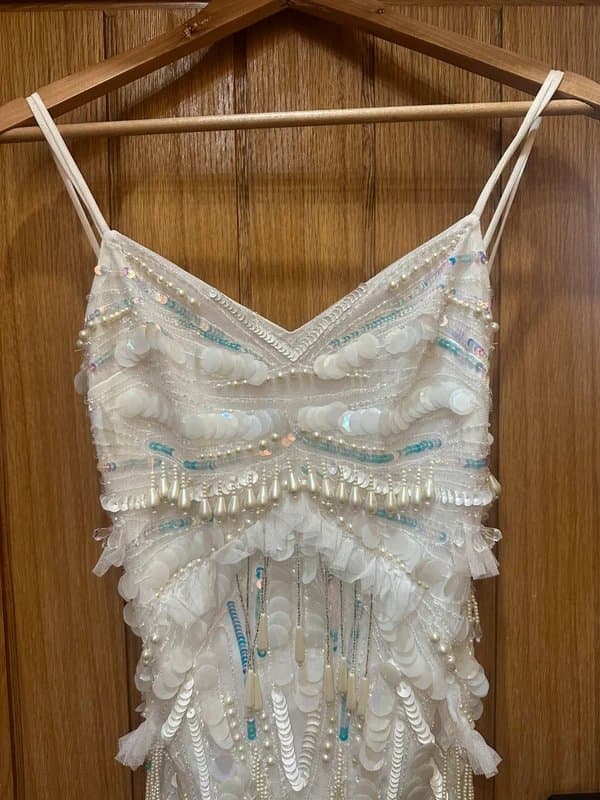 ASOS ASOS Luxe embellished butterfly dress hen wedding