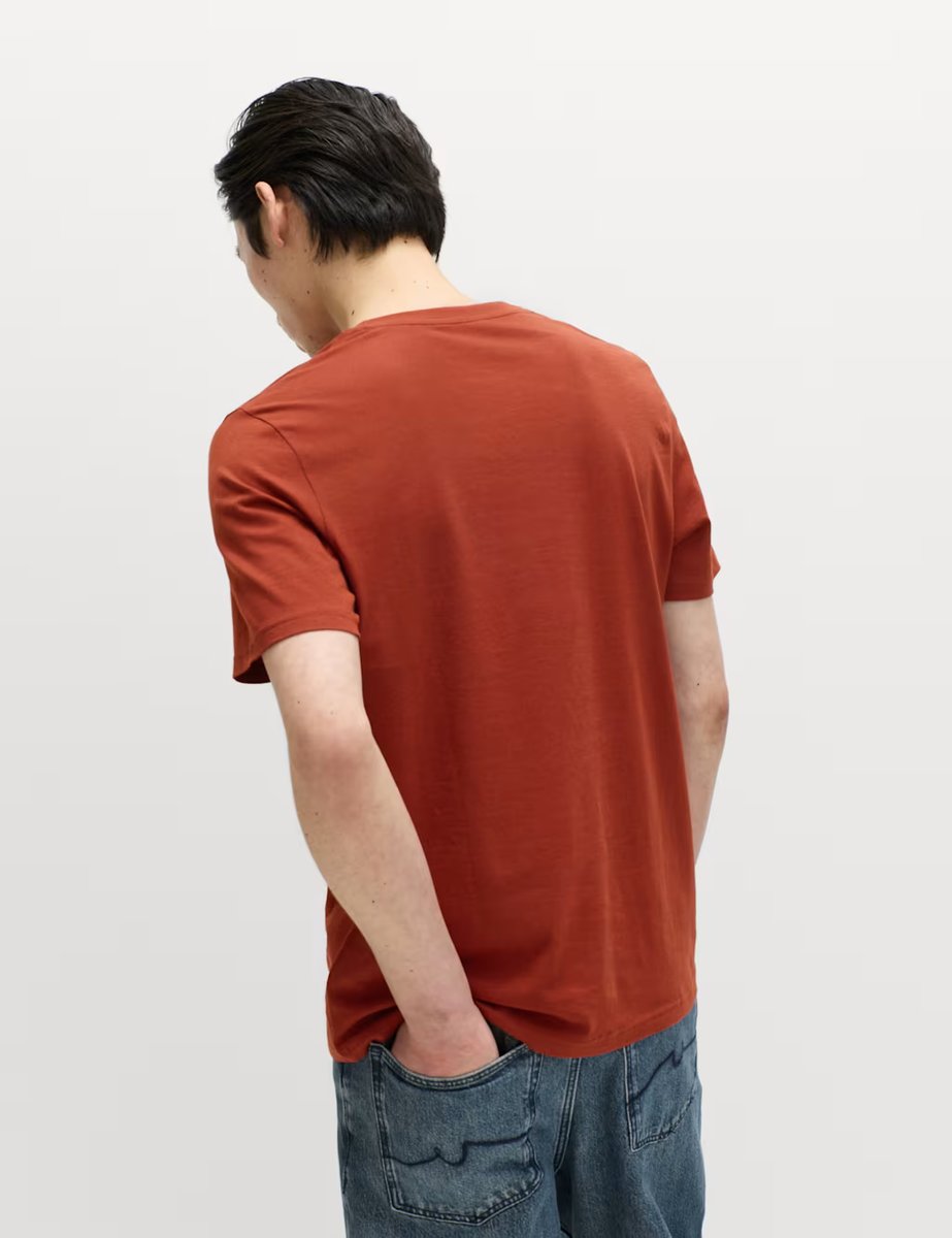 Marks & Spencer M&S Regular Fit Pure Cotton Crew Neck T-Shirt Paprika - 4