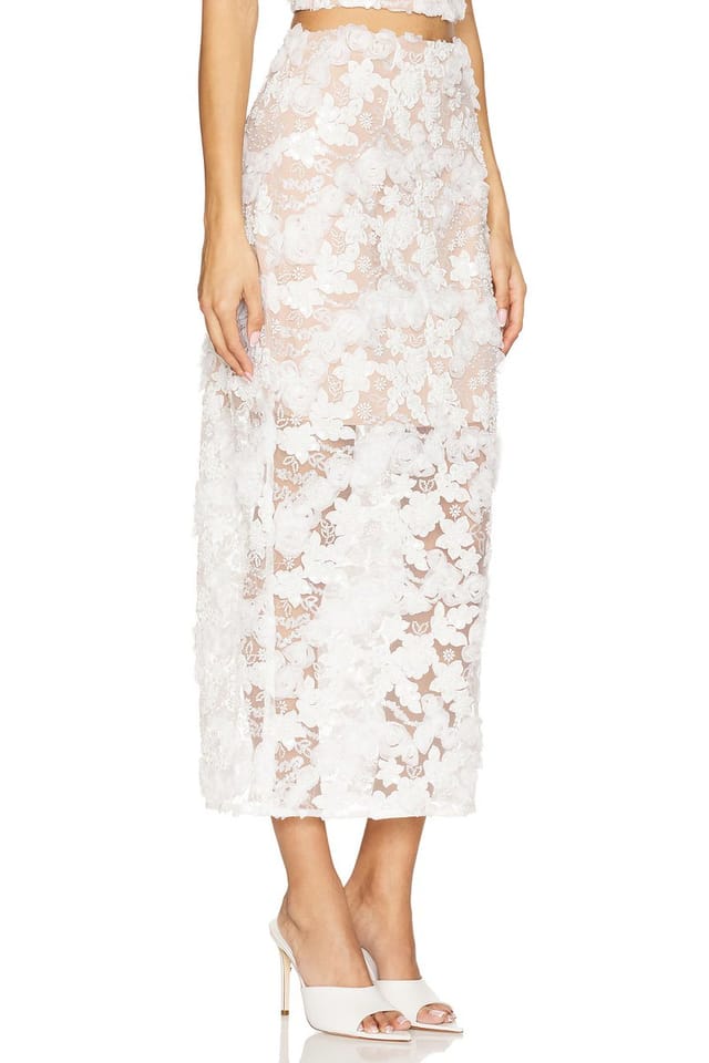revolve Vonni Skirt - 2