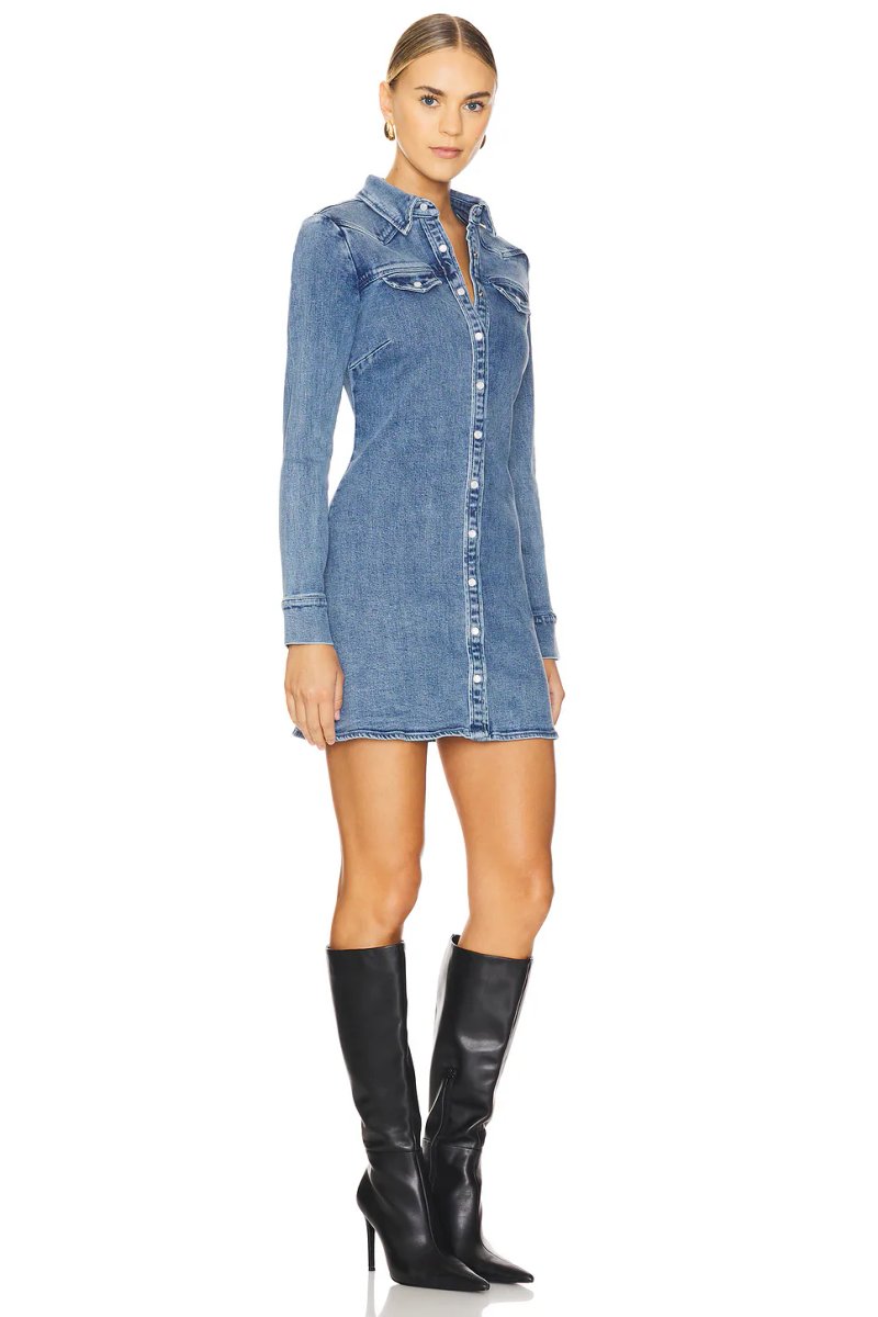 revolve Forester Dress - 2