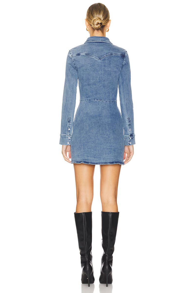 revolve Forester Dress - 3