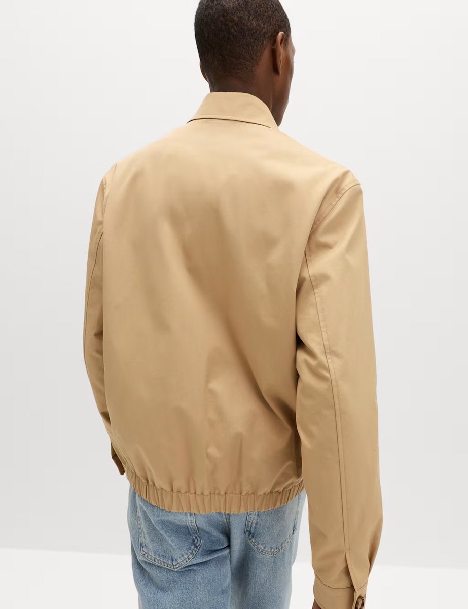 Marks & Spencer M&S Pure Cotton Harrington Jacket Light Caramel - 4