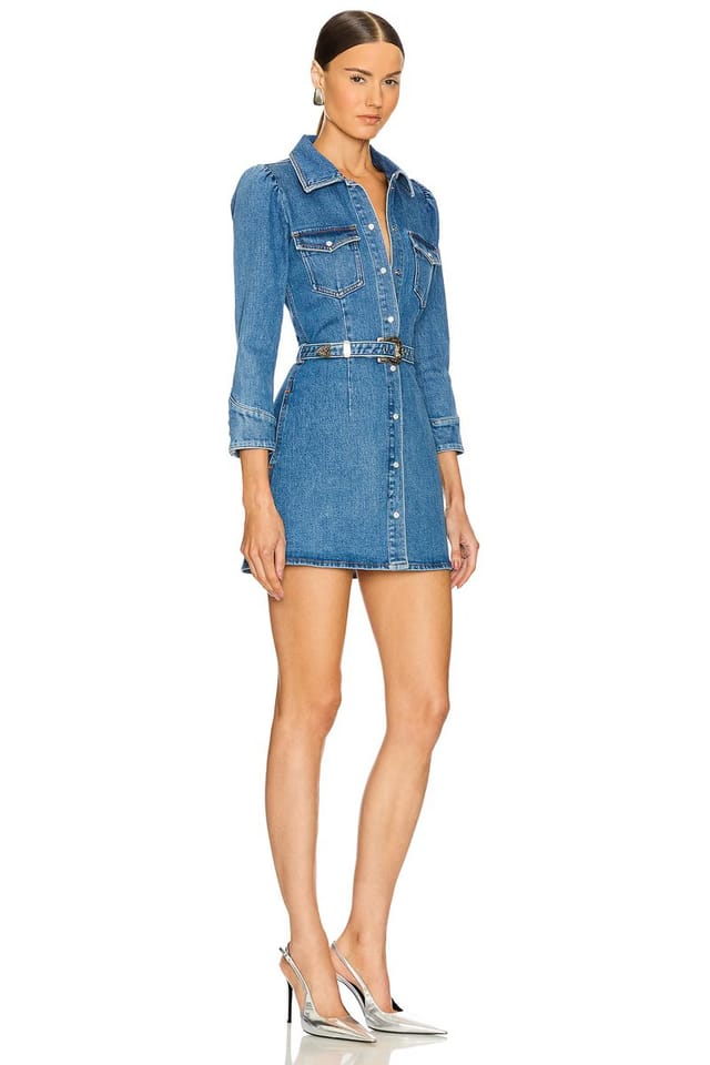 revolve Wiley Dress - 2