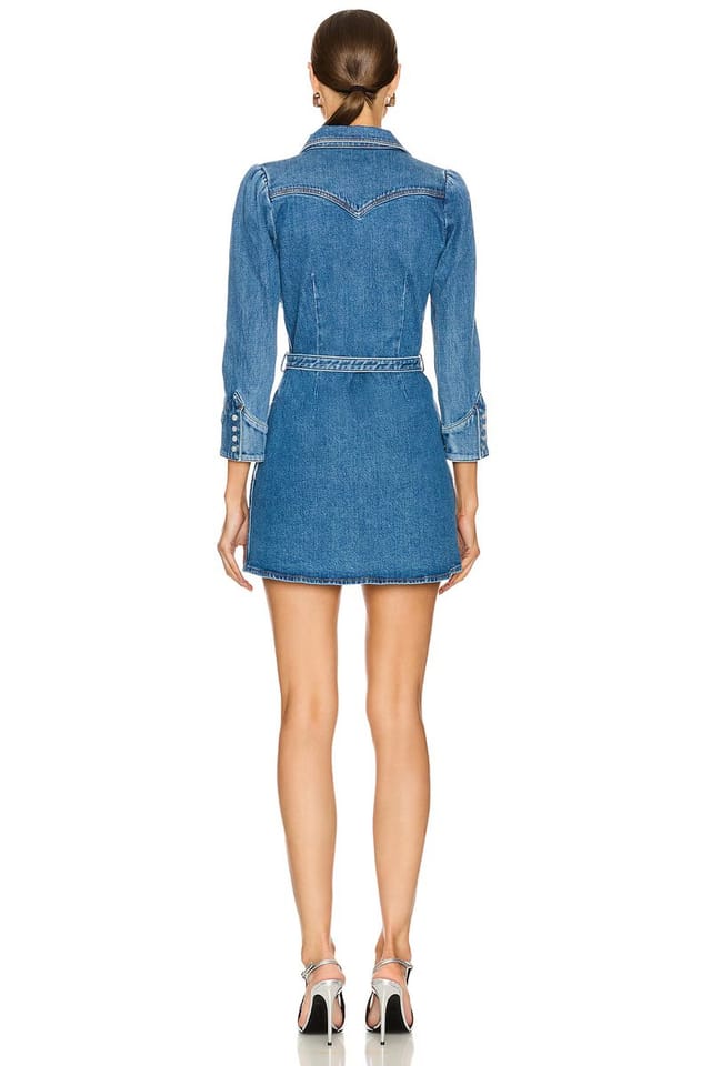 revolve Wiley Dress - 3