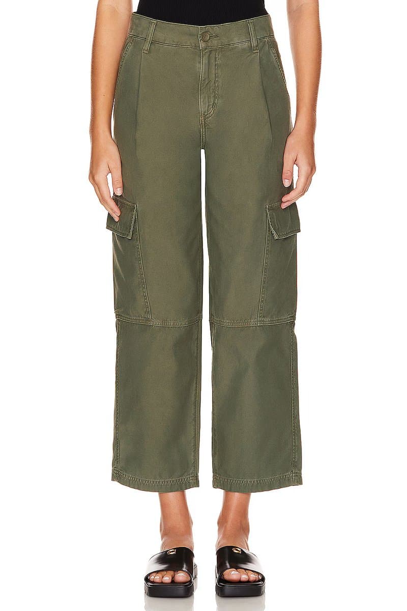 revolve Jericho Pant