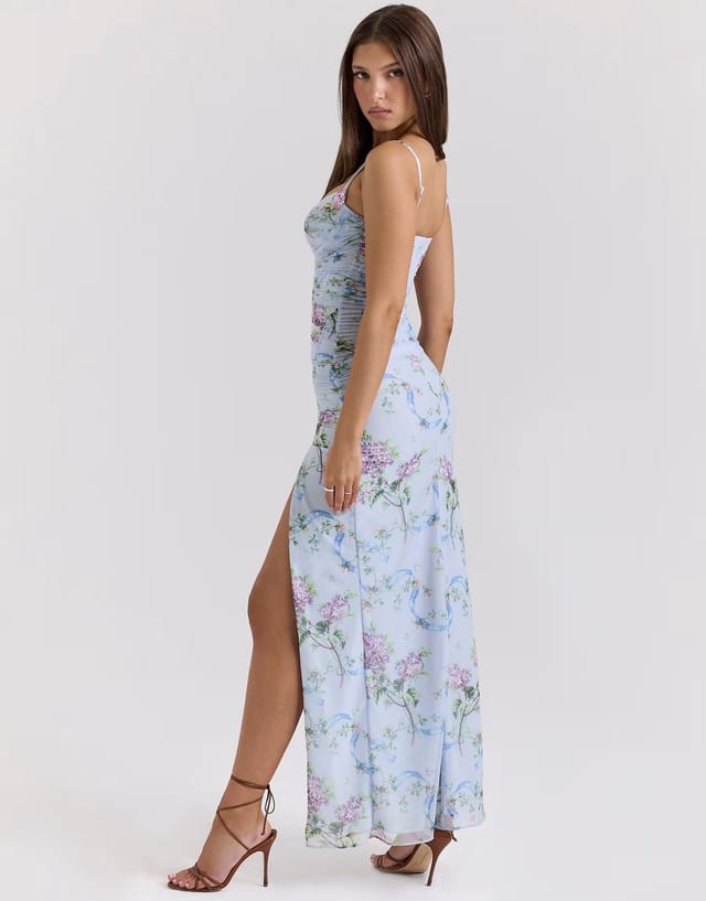 ASOS House of CB Lini mesh maxi dress in blue floral - 3