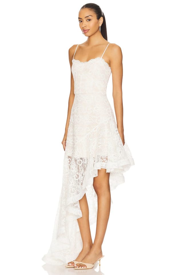 revolve Althea Gown - 3