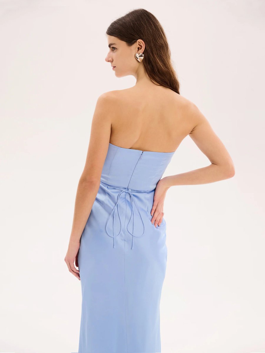 OMNES Amdra Maxi Dress in Light Blue - 4