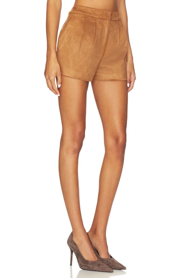 revolve Jude Shorts - 2