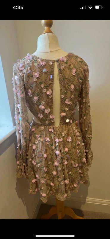 ASOS ASOS Luxe Embellished Sequin party dress 10 - 3