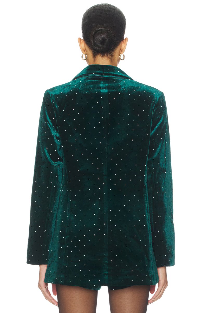 revolve Velvet Blazer - 3