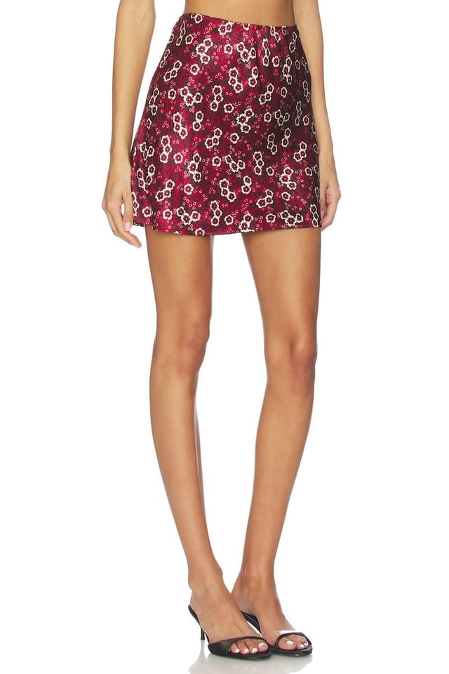 revolve Audrey Skirt - 2