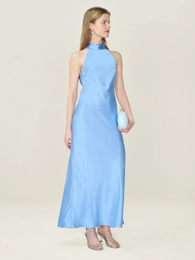 OMNES Seychelles Dress in Vista Blue - 2