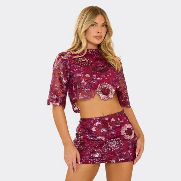 EGO EGO Floral Embellished Crop Top with Short Sleeves in Burgundy