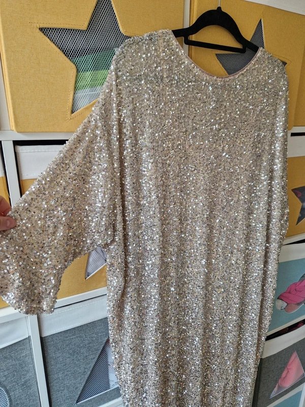 Never Fully Dressed Never fully dressed women's Silver Sequin Jem Dress size L/XL (18-24) - 1