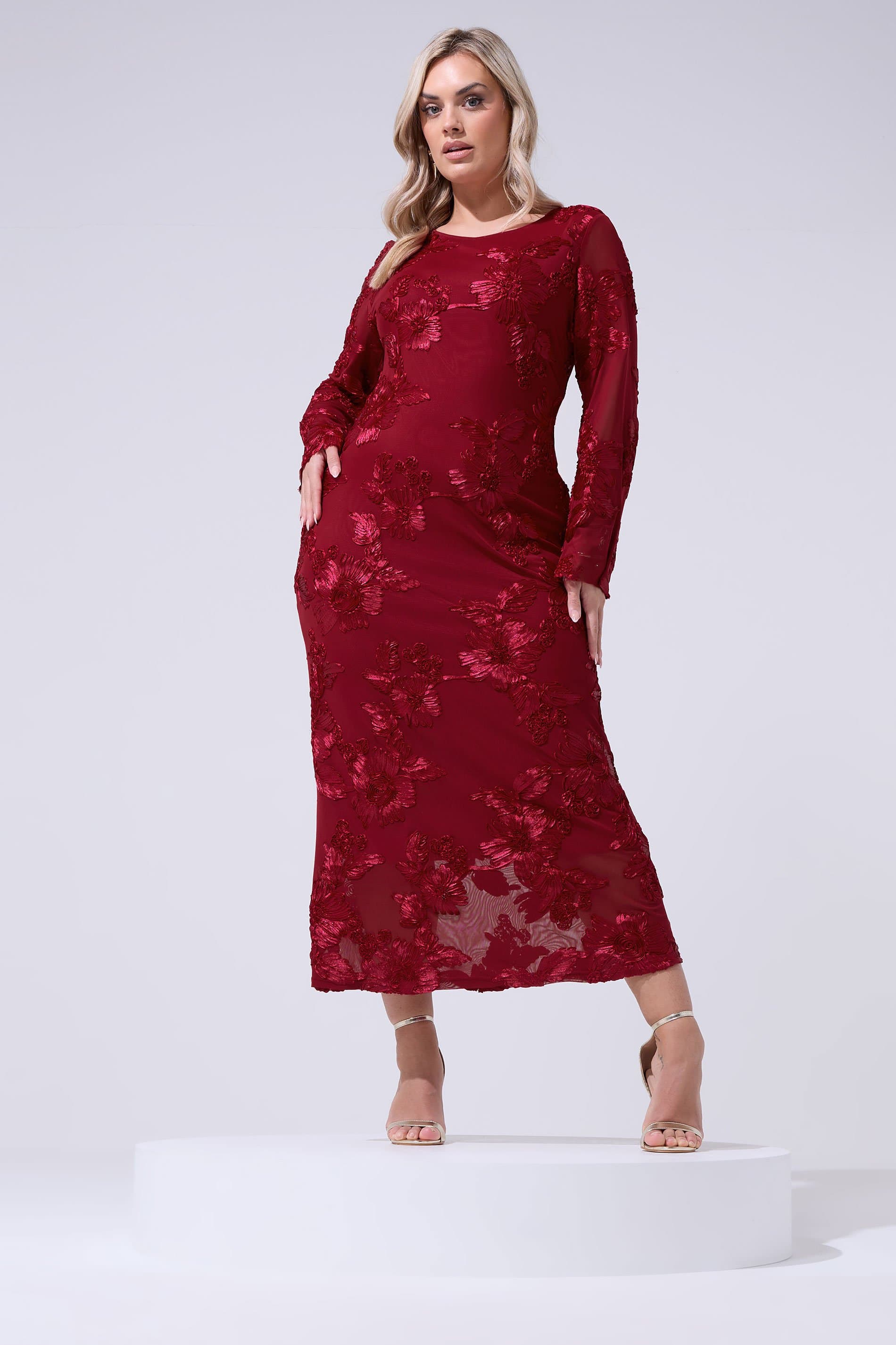 Yours London Plus Size Red Floral Applique Maxi Dress
