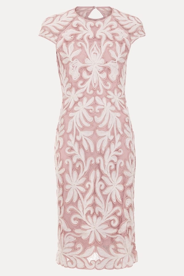 Phase Eight Phase Eight Women's Petite Ivanna Sculpted Embroidered Dress in Dusty Pink - 2