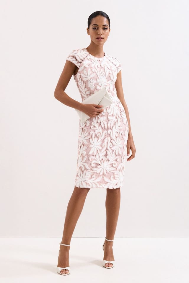 Phase Eight Phase Eight Women's Petite Ivanna Sculpted Embroidered Dress in Dusty Pink - 3