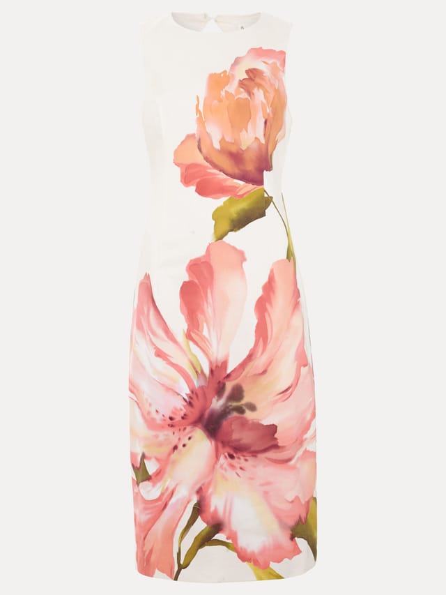 Phase Eight Phase Eight Women's Nadina Floral Dress in Ivory - 2