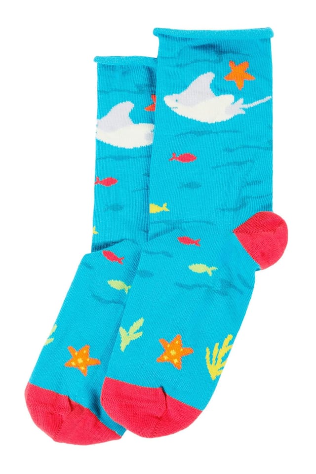 Frugi Frugi Men's Roly Bamboo 3 Pack Socks - 2