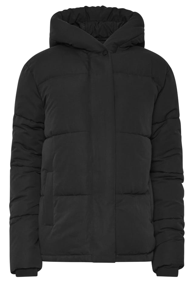 Long Tall Sally Long Tall Sally Women's Tall Padded Coat in Black - 2