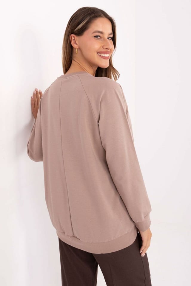 Love Lace Love Lace Women's Cotton Elastane Casual Sweatshirt with Embroidery in Beige - 3