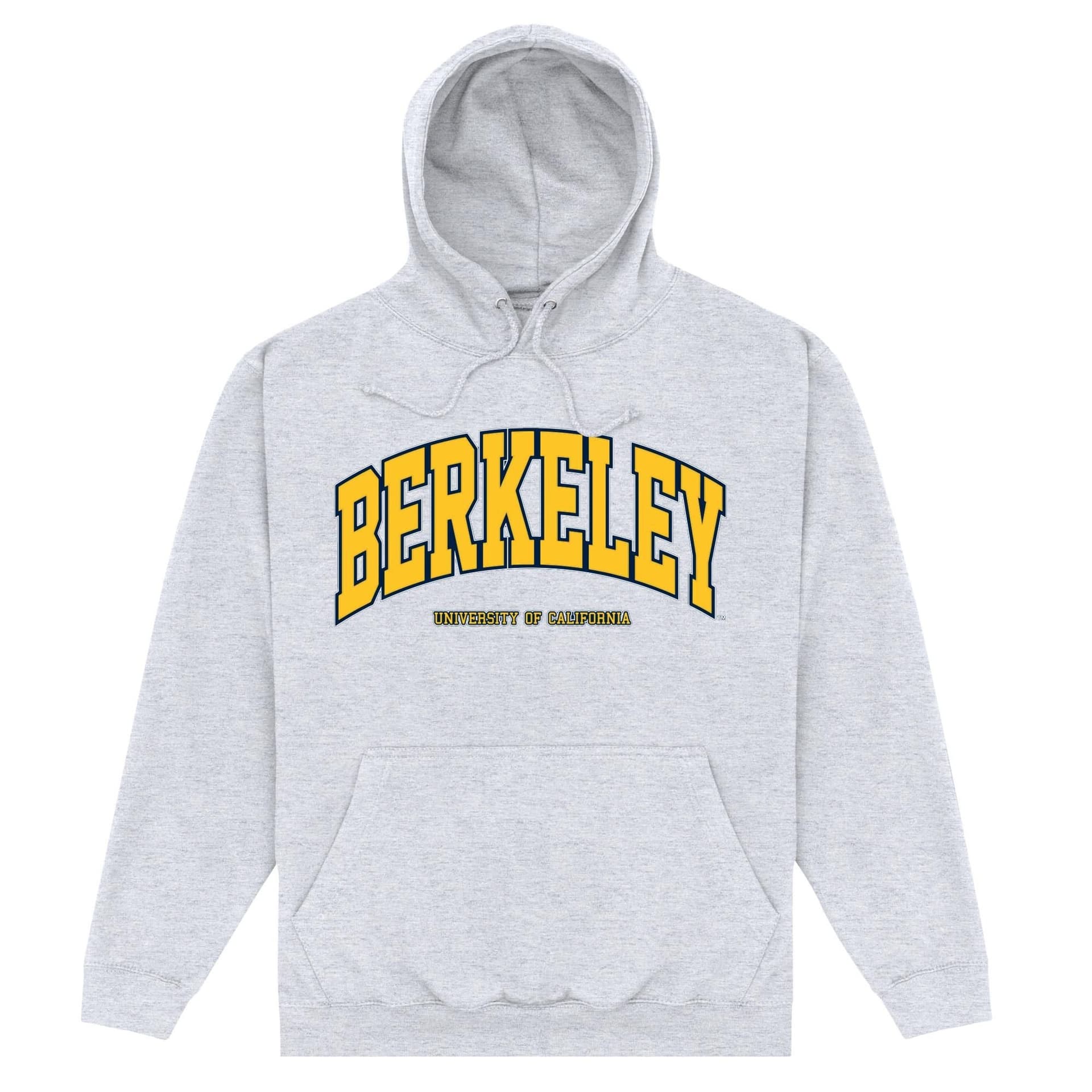 Berkeley Berkeley Men's University Of California Arch Hoodie in Grey