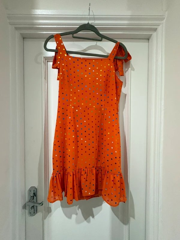 Never Fully Dressed Lovely chiffon dress with underlining - 1