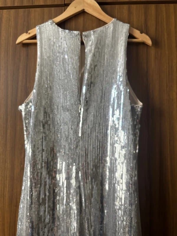 next delicate nature Stunning silver sequinned evening dress