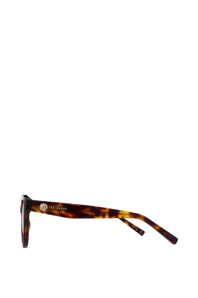 Ted Baker Ted Baker Women's Daliah Sunglasses in Brown - 3