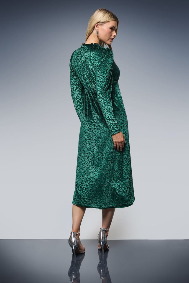 Dorothy Perkins Dorothy Perkins Women's Leopard Burnout Long Sleeve Midi Dress in Green - 3