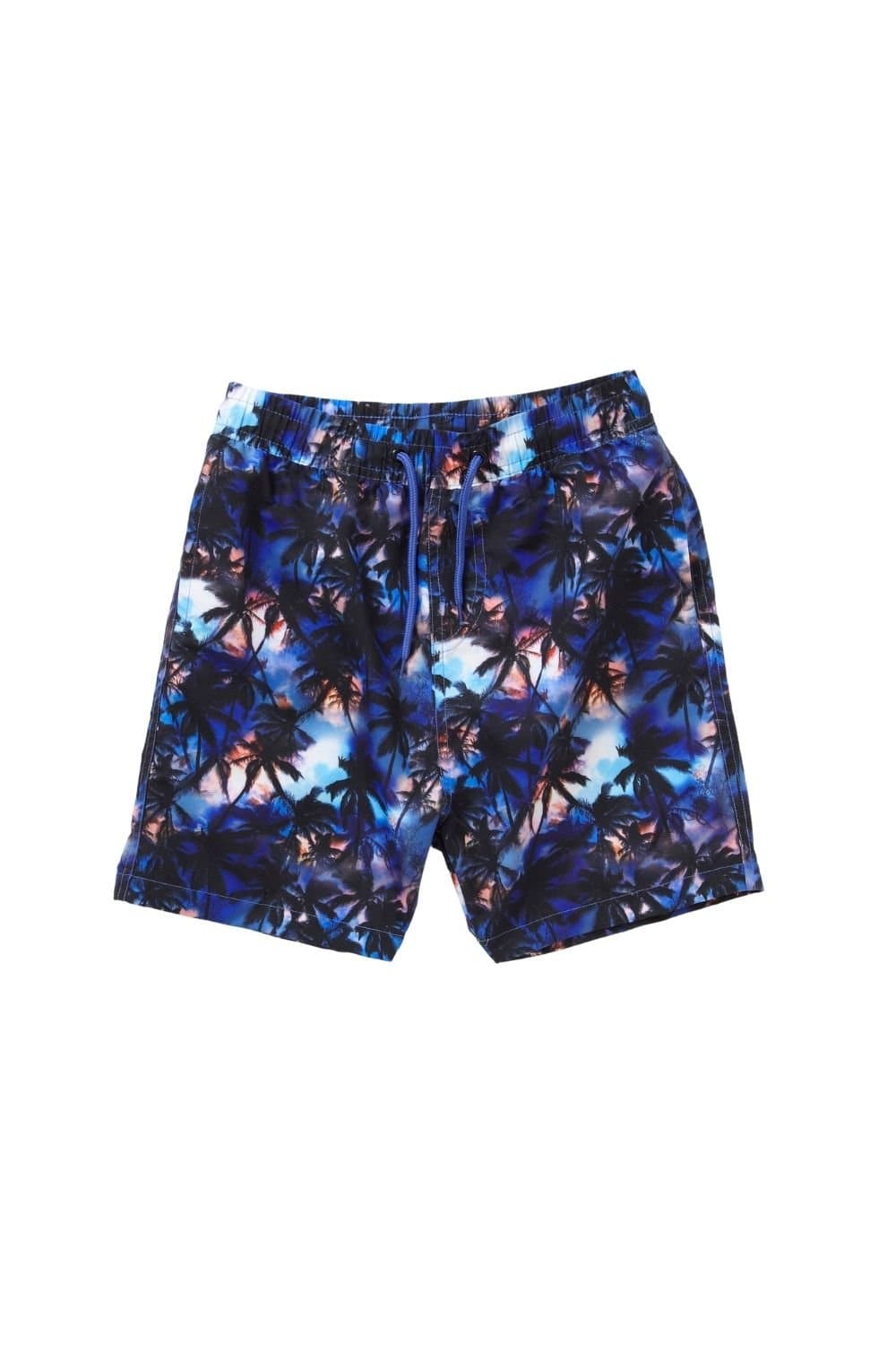 H2O H2O Men's Palm Print Swim Board Shorts in Black